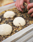 Baking Class with Jen Carson, Owner/Head Baker LiLLiPiES