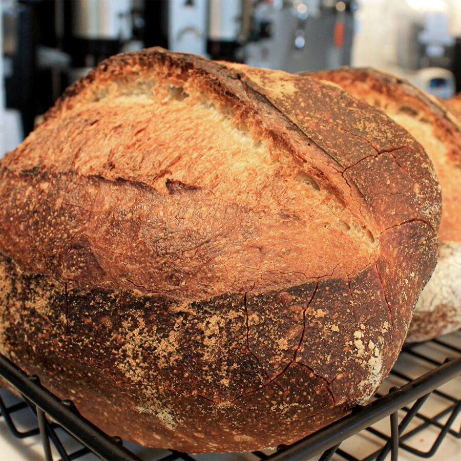 sourdough-bread